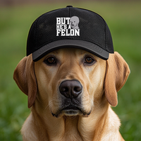 Load image into Gallery viewer, But He&#39;s A Felon! - Hat
